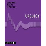 Shock wave therapy in practice. Urology